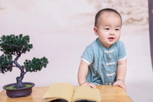 白沙可爱的企鹅宝宝